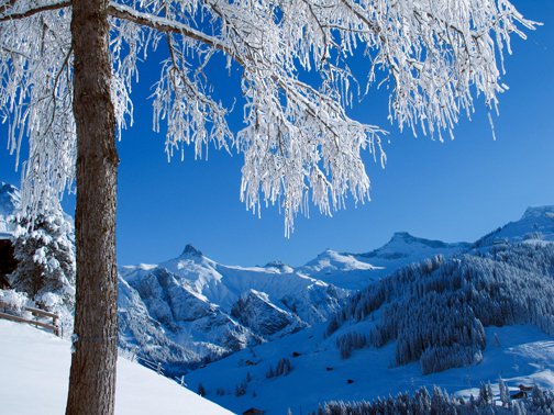 Winterzauber, eingefangen von Markus Klopfenstein vom Photohaus Klopfenstein.