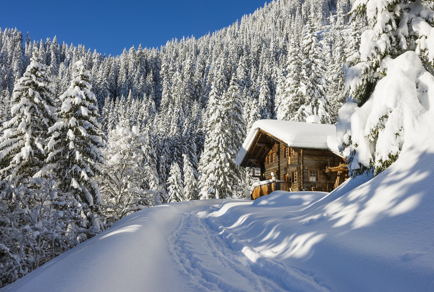 Schneeschuhlaufen – Erholung pur